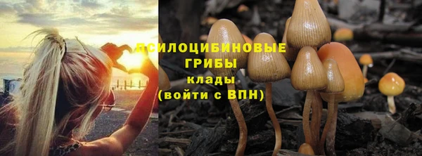 СК Беломорск