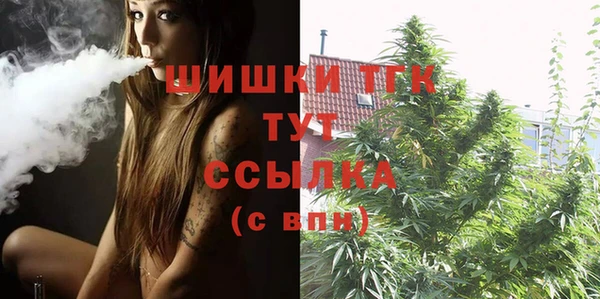 тгк Богородск